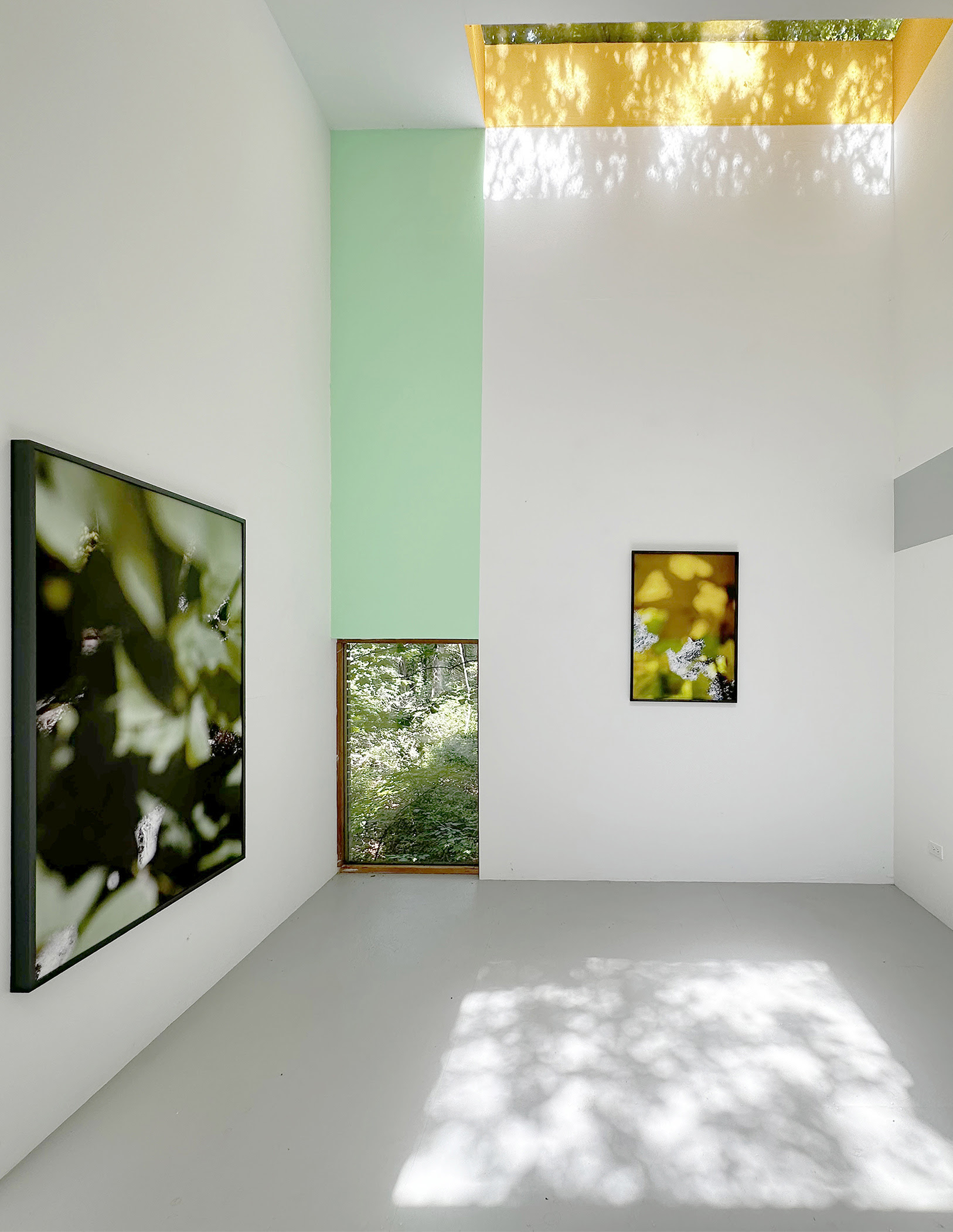 Susan Wides: An Installation 1